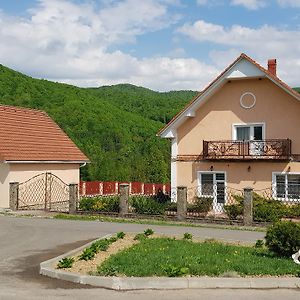 Hotel Lara Solochyn Exterior photo