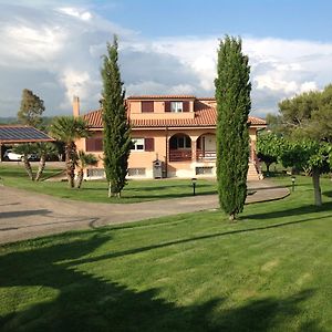 Bed&Breakfast La Volpe e L'Uva Bed and Breakfast Santa Marinella Exterior photo