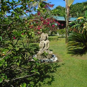 Appartamento J And H Garden Cabinas Bocas del Toro Exterior photo