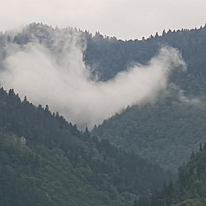 Zeiko S Guesthouse Borjomi Exterior photo