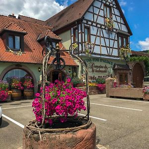 Hotel Domaine Bleger By Windmuehl Saint-Hippolyte  Exterior photo