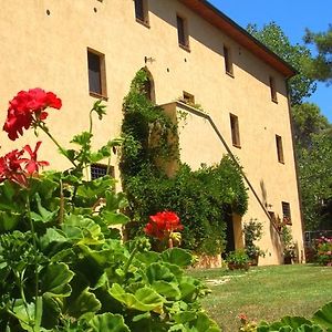 Agriturismo Lupo Vecchio Villa Grosseto Exterior photo