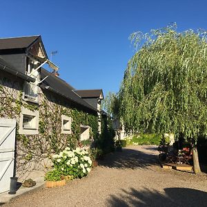 Ferme De Marpalu Bed and Breakfast La Ferté-Saint-Cyr Exterior photo