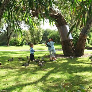 Hotel Kennett River Family Caravan Park Exterior photo