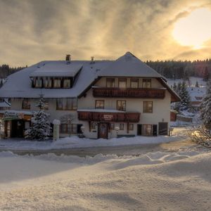 Landhotel Und Apartments Sonneck Feldberg  Exterior photo