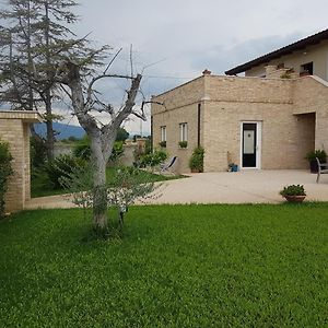 B&B Mellon Colli del Tronto Exterior photo