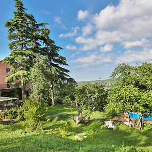 Bacialupo Foresteria Bed and Breakfast Montecalvo Versiggia Exterior photo