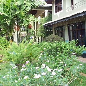 Hotel Lihini Village Dambulla Exterior photo