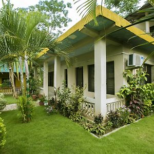 Sauraha Nana Hotel Exterior photo