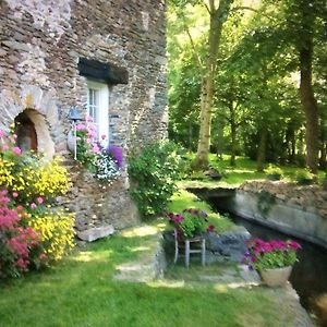 Le moulin de la Castellerie Bed and Breakfast Moon-sur-Elle Exterior photo