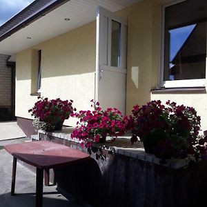 Alyvos Villa Ignalina Exterior photo