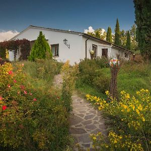 Villa Gaia Seggiano Exterior photo