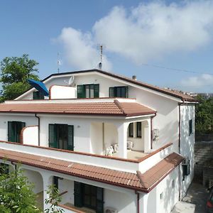 Hotel Colibrì Maierà Exterior photo