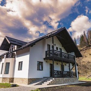 Verde De Bucovina Villa Fundu Moldovei Exterior photo