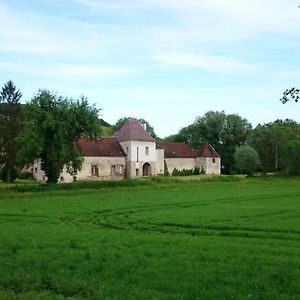 Chateau Des Roises Bed and Breakfast Bucey-en-Othe Exterior photo