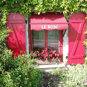 Le Bosc Bed and Breakfast Anthé Exterior photo