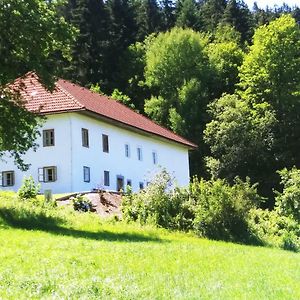 Appartamento Ferienhaus Herrnbauer Zaglau Exterior photo