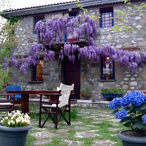 Marina's Stone Cottage Ktistades Exterior photo