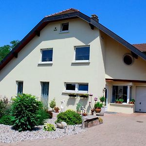 Grosszugige Helle Ferienwohnung Bis 4 Personen In Chalampe, Elsass Exterior photo