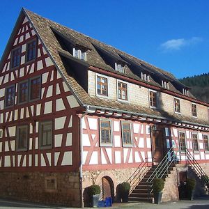 Roter Loewe Bed and Breakfast Heiligkreuzsteinach Exterior photo