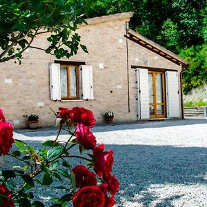 Calmancino delle Selve Bed and Breakfast Urbino Exterior photo