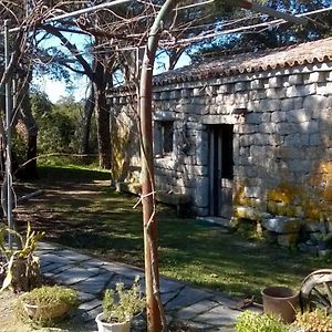 Agriturismo La Vigna Bed and Breakfast Tempio Pausania Exterior photo