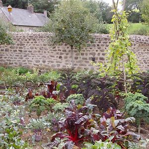 Chambres D'Hotes La Belle Taille Lassay-les-Chateaux Exterior photo