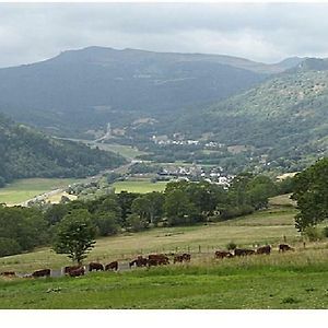 Appartamento Vacances Au Pied Des Monts Du Cantal Laveissière Exterior photo