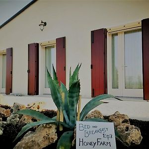 Agriturismo Honey Farm Bed and Breakfast Piazzola sul Brenta Exterior photo