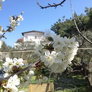 Via col Vento Bed and Breakfast Chieti Exterior photo