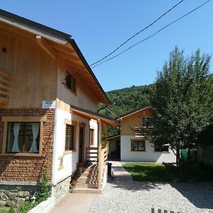 Guest House Carpathia Vişeu de Sus Exterior photo
