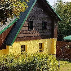 Ferienhaus Tooren Villa Altenberg  Exterior photo