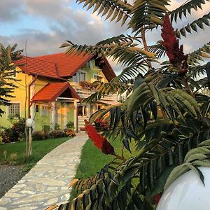 Hotel House Antonia Grabovac  Exterior photo