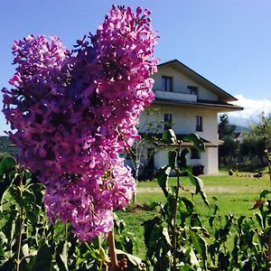 Agriturismo Le Terre d'Abruzzo Country House Villa Alanno Exterior photo