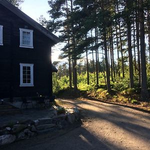 Appartamento Breiva Gjestegaard Og Glamping Bo (Telemark) Exterior photo