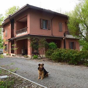 Hotel Gambisa Street Soliera Exterior photo