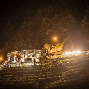 Agriturismo Bio Ca' Pianazòla Villa Chiavenna Exterior photo