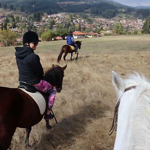 Dona Guest House - Horse Riding Koprivshtitsa Exterior photo