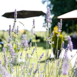 Hotel Nature & Chateaux Villandry Exterior photo