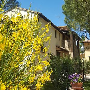 Agriturismo La Ginestrella Affittacamere Civitella D'Arna Exterior photo