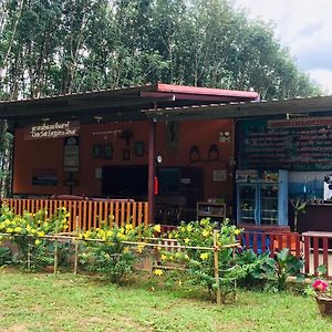 Hotel Khao Sok Evergreen House Khao Sok National Park Exterior photo