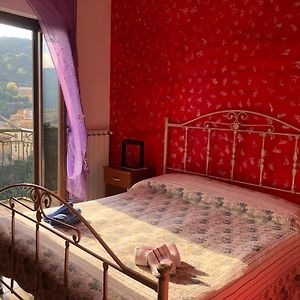 Al Castello Bed and Breakfast Castelmezzano Exterior photo