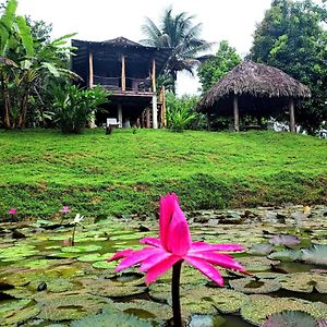 Bluff Hidden Paradise Affittacamere Bocas del Toro Exterior photo