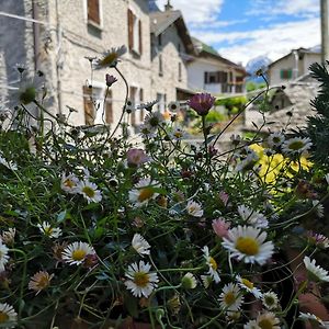 Appartamento San Carlo Chiavenna Exterior photo