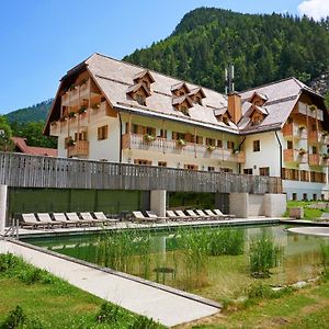 Hotel Plesnik Logarska Dolina Solčava Exterior photo