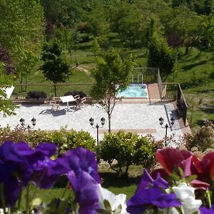 Albergo Diffuso - Il Poggetto tra Urbino&San Marino Exterior photo