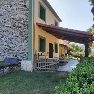 Casa Rural La Pumarada de Limés Villa Cangas De Narcea Exterior photo