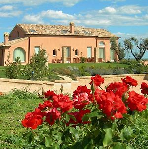 Villa dei Ricordi, relax&sea view surrounded by nature Civitanova Marche Exterior photo