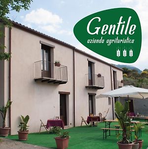 Agriturismo Gentile Bed and Breakfast Castelbuono  Exterior photo