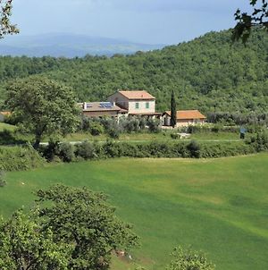 Casa Maria Agriturismo Villa Magliano in Toscana Exterior photo
